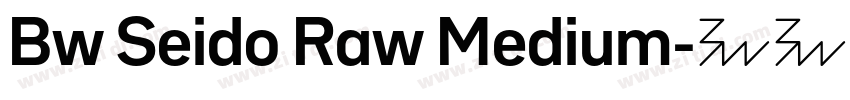 Bw Seido Raw Medium字体转换